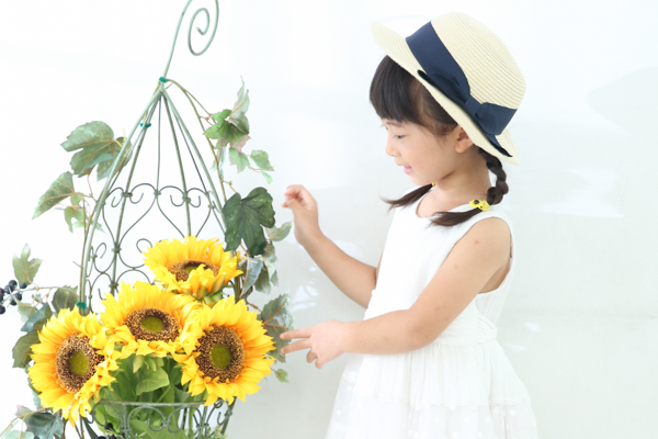 ひまわり撮影会 2020イメージ