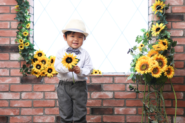 ひまわり撮影会 2020イメージ