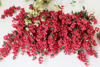 ボーノ相模大野店 / Jardin