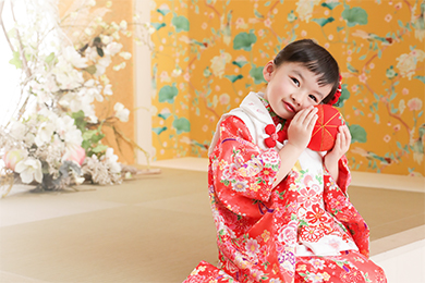 帝塚山店 / 女の子 / 七五三（753）