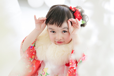 帝塚山店 / 女の子 / 七五三（753）