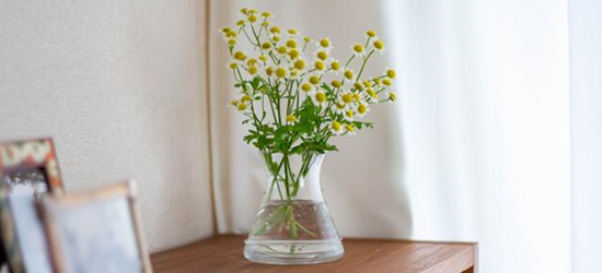 七五三写真のおしゃれな飾り方って？アイデアを紹介