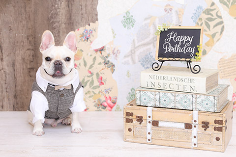 写真館・フォトスタジオでの撮影もおすすめ