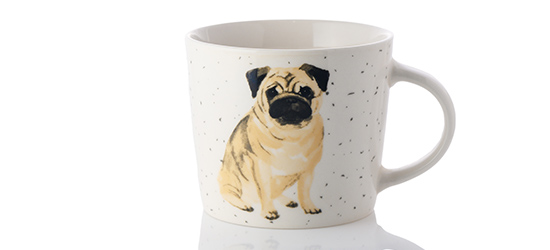 愛犬写真の入ったマグカップを使おう！作り方・注意点を解説