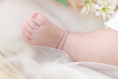 吉祥寺店 / Soie / 男の子 / お食い初め・百日祝い