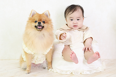 豊田浄水店 / 男の子 / ハーフバースデー / ペット撮影