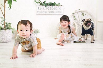 豊田浄水店 / 女の子 / 男の子 / スーツ／ドレス / ペット撮影