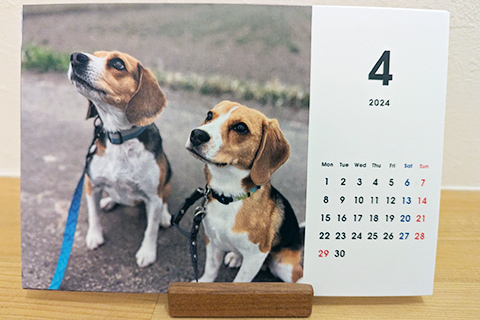 加工したペット写真の活用方法