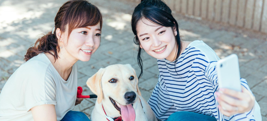 犬と写真を撮る際のおすすめポーズ・撮り方を紹介！写真例も