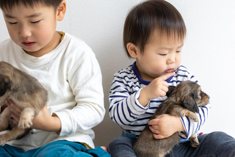 犬も含めて家族写真を撮る際の注意点