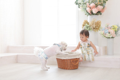 福岡西店 / ペット撮影