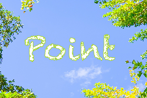 5歳の七五三で着物を選ぶ際のポイント・注意点