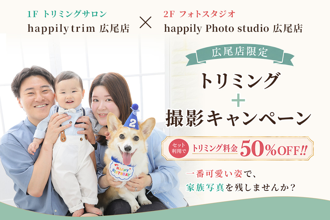 【広尾店限定】トリミング＋撮影キャンペーン★わんちゃんも撮影前にトリミングして、もっと可愛く、もっと素敵に、一生の宝物になるかけがえのない一枚を+.*.+.*